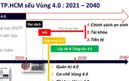 Xây dựng TP.HCM làm 'sếu vùng 4.0'