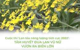 Cuộc thi ‘Lan tỏa năng lượng tích cực 2022’: Tâm huyết đưa lan vũ nữ vươn ra ‘biển lớn’