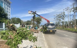 Quảng Nam xin tăng vốn đầu tư một tuyến đường từ 150 tỉ lên 450 tỉ đồng