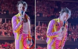 Harry Styles lại bị tấn công bằng 'vật thể lạ' khi đang trình diễn