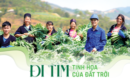 Đi tìm tinh hoa của đất trời