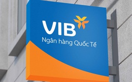 VIB có thể chia cổ tức tiền mặt đến 35%