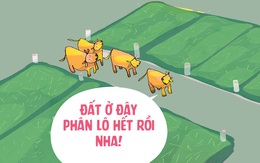 Khu đô thị 'xanh cỏ'