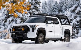 SUV và bán tải Toyota sắp có bản độ chính hãng, người mua bớt lo không đăng kiểm được