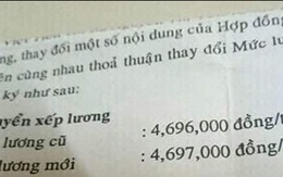 Ảnh vui 30-11: Được lên lương sau một năm làm việc cật lực
