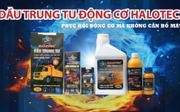 Lý do sức hút của Halotec trên thị trường suốt gần 20 năm qua