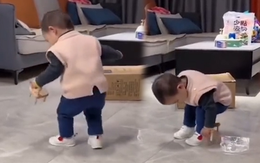Cậu bé loay hoay mãi vẫn chưa ngồi được cái ghế mẹ mới mua cho