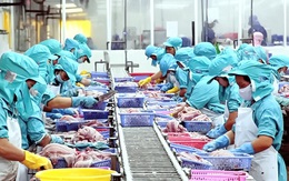 Hiệp định đối tác toàn diện và tiến bộ xuyên Thái Bình Dương đưa Việt Nam lên vị thế mới