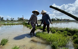 Nông dân làm... 'mo đồ' du lịch