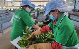 Có giúp nông dân, nông nghiệp mới thay đổi