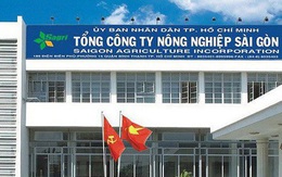 Tổng công ty Nông nghiệp Sài Gòn muốn trả 16 mặt bằng nhưng chưa được