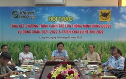 Hiệu quả từ mô hình 'Canh tác lúa thông minh'