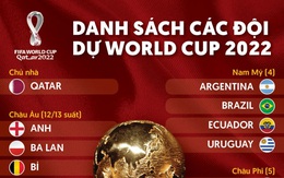 Danh sách các đội đã giành quyền dự World Cup 2022