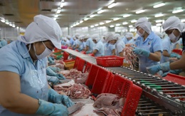 Miền Tây không chỉ trông vào nông nghiệp