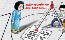 Thi học sinh giỏi để làm gì: Một kỳ thi 'không giống ai'