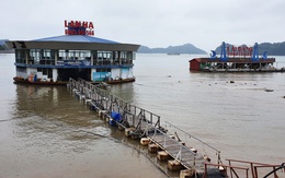 Chủ nhà hàng nổi tại vịnh trung tâm Cát Bà kêu cứu vì phải di dời đúng ‘cao điểm’ du lịch