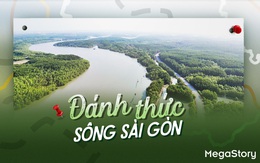 Đánh thức sông Sài Gòn