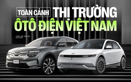 6 hãng ôtô bán xe điện ở Việt Nam là những hãng nào, có gì đặc biệt?