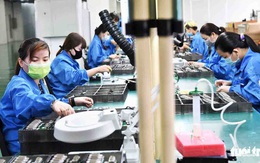 11% công nhân thường xuyên phải vay tiền để sinh hoạt hằng tháng