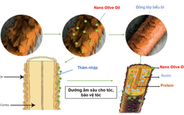 Dầu gội Wakamono chứa hoạt chất nano dầu olive