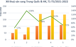 Bất chấp Zero COVID, xuất khẩu tôm hùm sang Trung Quốc tăng 29 lần