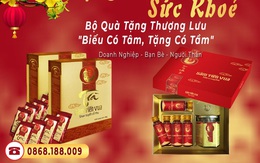 ‘Đánh thức’ giống sâm quý tại Quảng Bình