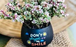 Đi sinh nhật bạn bằng tiền