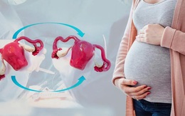 Mỹ: Hơn 50% phụ nữ ghép tử cung đều mang thai thành công