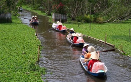 Giá cả hằng ngày 2-7: Săn hàng giá rẻ ở siêu thị; An Giang bán tour trên Shopee