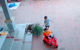 Cháu nó ở nhà ngoan lắm (P41)