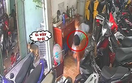 Chú chó hú hồn bỏ chạy khi vợ chồng gia chủ ngồi sập ghế