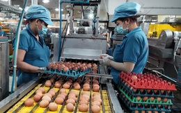 Xử nghiêm các trường hợp đầu cơ, găm giá