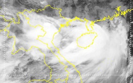 Bão số 3 gây mưa to gió lớn, các tỉnh Đông Bắc Bộ chủ động cấm biển, tổ chức cắt tỉa cây