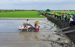 Phát triển 495 mô hình canh tác lúa thông minh cho năng suất vượt trội