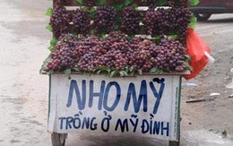 Ảnh vui 28-8: Ai nho Mỹ... Đình không???