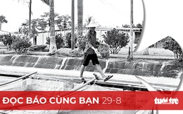 Bất ngờ xuất khẩu cá cảnh Việt Nam