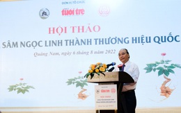 Chủ tịch nước: Sâm Ngọc Linh là quốc bảo, quốc kế dân sinh chứ không phải để tủ kính