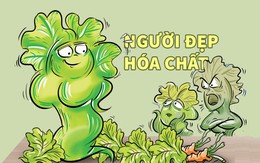 Người đẹp hóa chất
