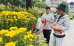 TP.HCM đồng loạt khai trương chợ hoa Tết