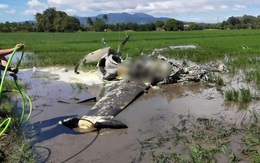 Máy bay không quân Philippines lao xuống ruộng, hai người thiệt mạng