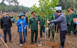 Thủ tướng dâng hương tưởng niệm Chủ tịch Hồ Chí Minh, phát động Tết trồng cây