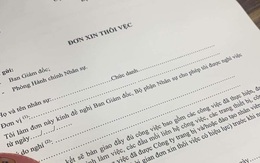 Ảnh vui 30-1: Dân văn phòng rục rịch 'khai bút' đầu năm