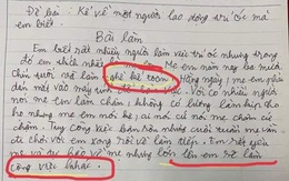 Bài văn tả mẹ làm kế toán khiến dân mạng cười ngất