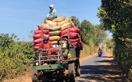 Chủ tịch, tổng giám đốc công ty phân bón lớn bậc nhất sàn chứng khoán đồng loạt rời 'ghế nóng'