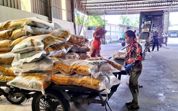 'Cha đẻ' gạo ST25: Giá gạo Việt đang cao nhất thế giới thì nên tranh thủ xuất khẩu nhiều