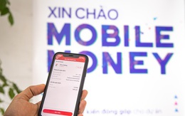 Chính phủ gia hạn thí điểm Mobile money đến hết năm 2024