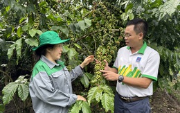 'Cho mùa bội thu' nhờ sử dụng phân bón hợp lý