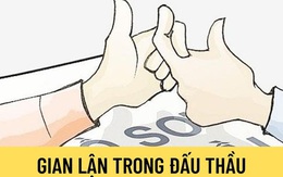 Gian lận, 2 công ty ở Khánh Hòa bị cấm tham gia đấu thầu 3 năm