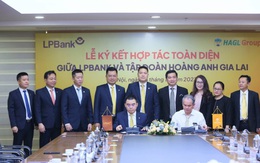 Bắt tay bầu Đức, tiềm lực hệ sinh thái liên quan ông Nguyễn Đức Thụy mạnh cỡ nào?