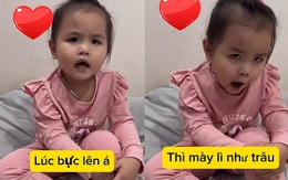 Cười sảng với cô bé lém lỉnh 'vạch mặt' mẹ trước máy quay